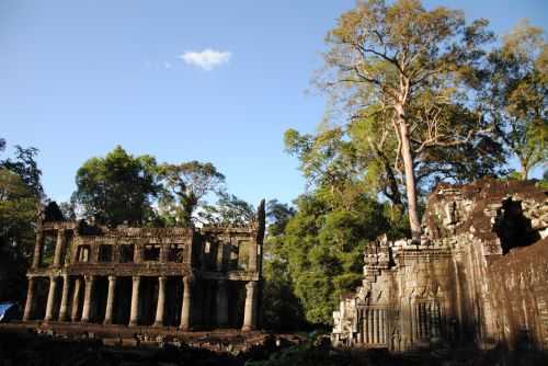 ANGKOR WAT HALF MARATHON 2013